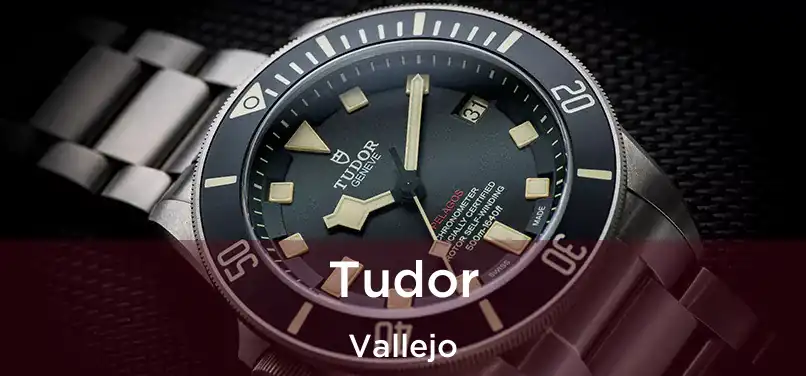 Tudor Vallejo