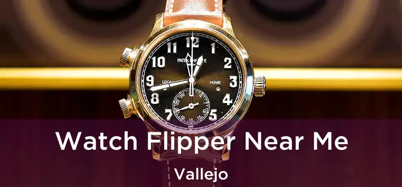 Watch Flipper Near Me Vallejo